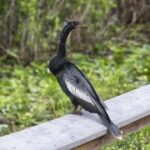 巅峰国际pg:全球范围内的游戏文化差异与融合 hivvnqtod