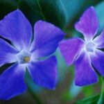 巅峰国际官网:探索全球顶尖赛事的最佳平台 qne9rp